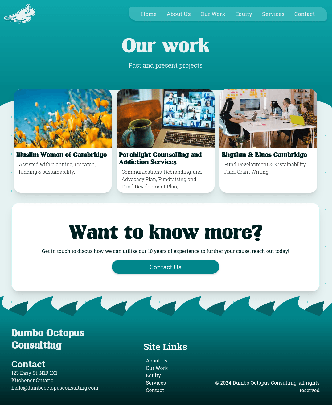 Dumbo Octopus Consulting screenshot 2