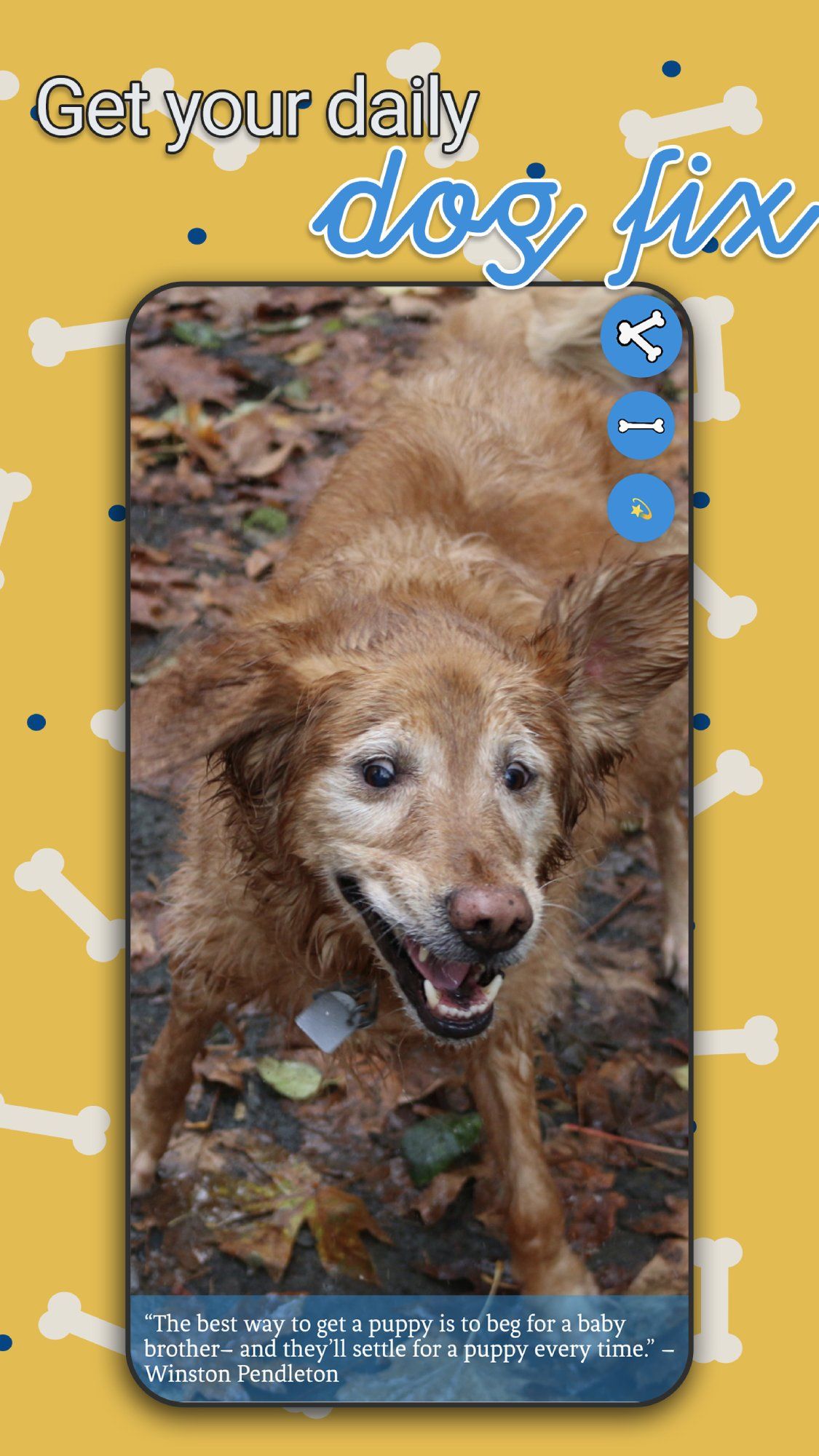 Just Dogs screenshot 3