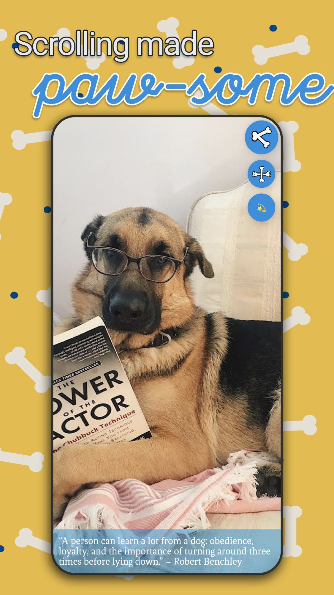 Just Dogs screenshot 1